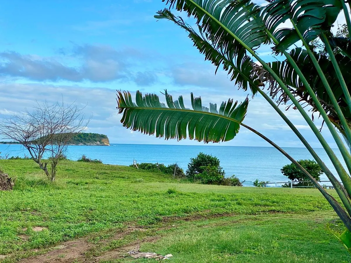 Blue Horizon Boutique Resort (Adults Only) Vieques Puerto Rico