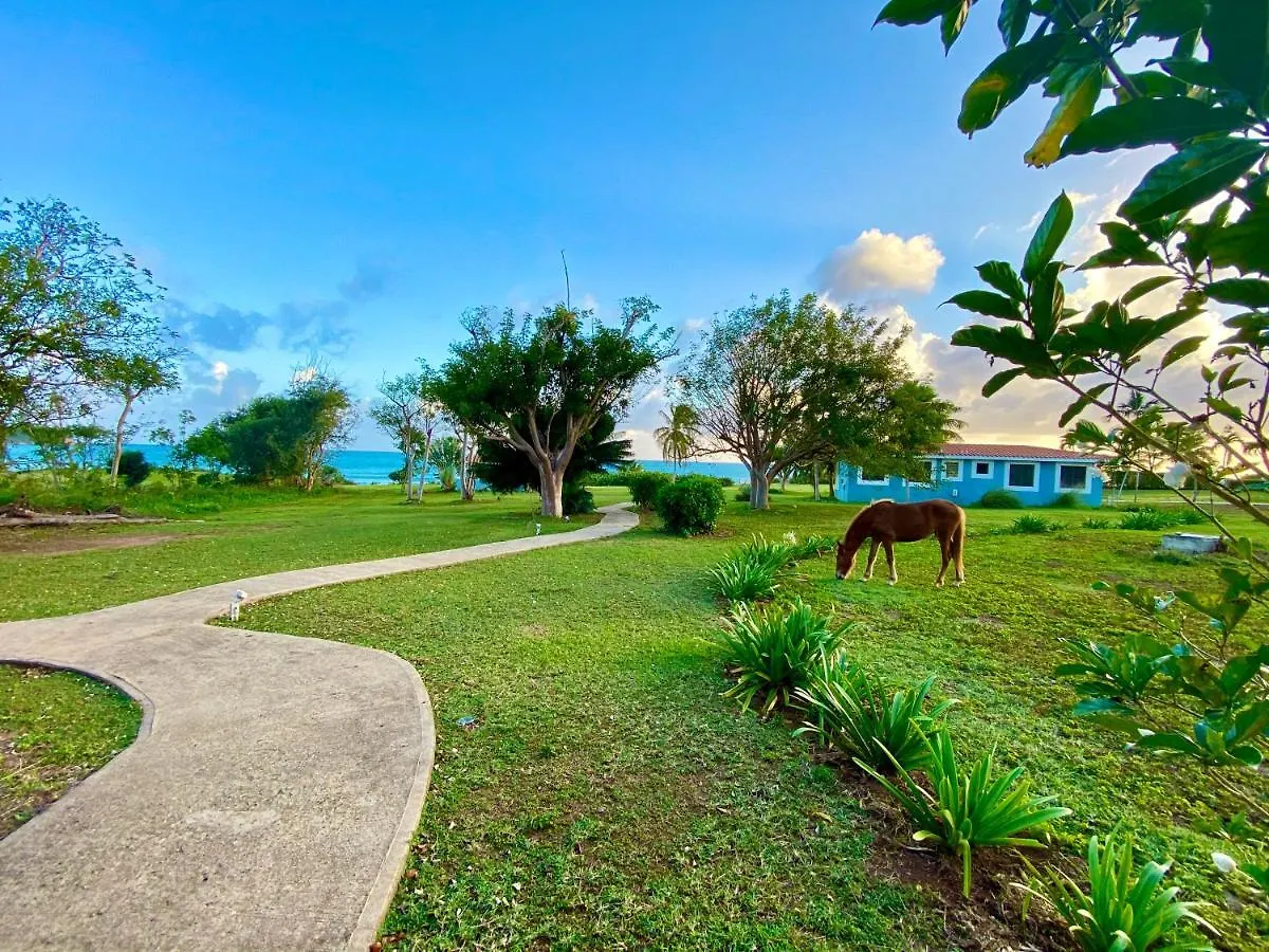 Hotel Blue Horizon Boutique Resort (Adults Only) Vieques