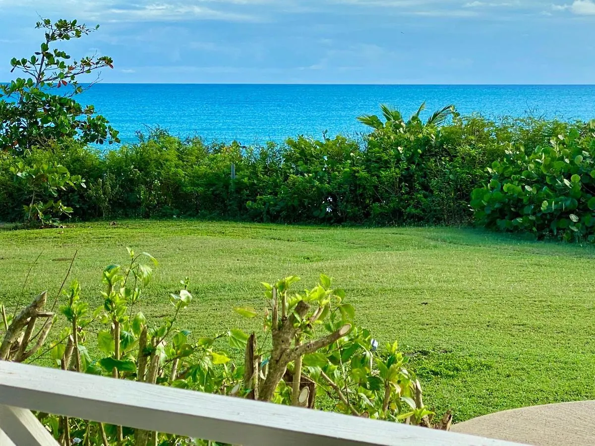 Blue Horizon Boutique Resort (Adults Only) Vieques Hotel