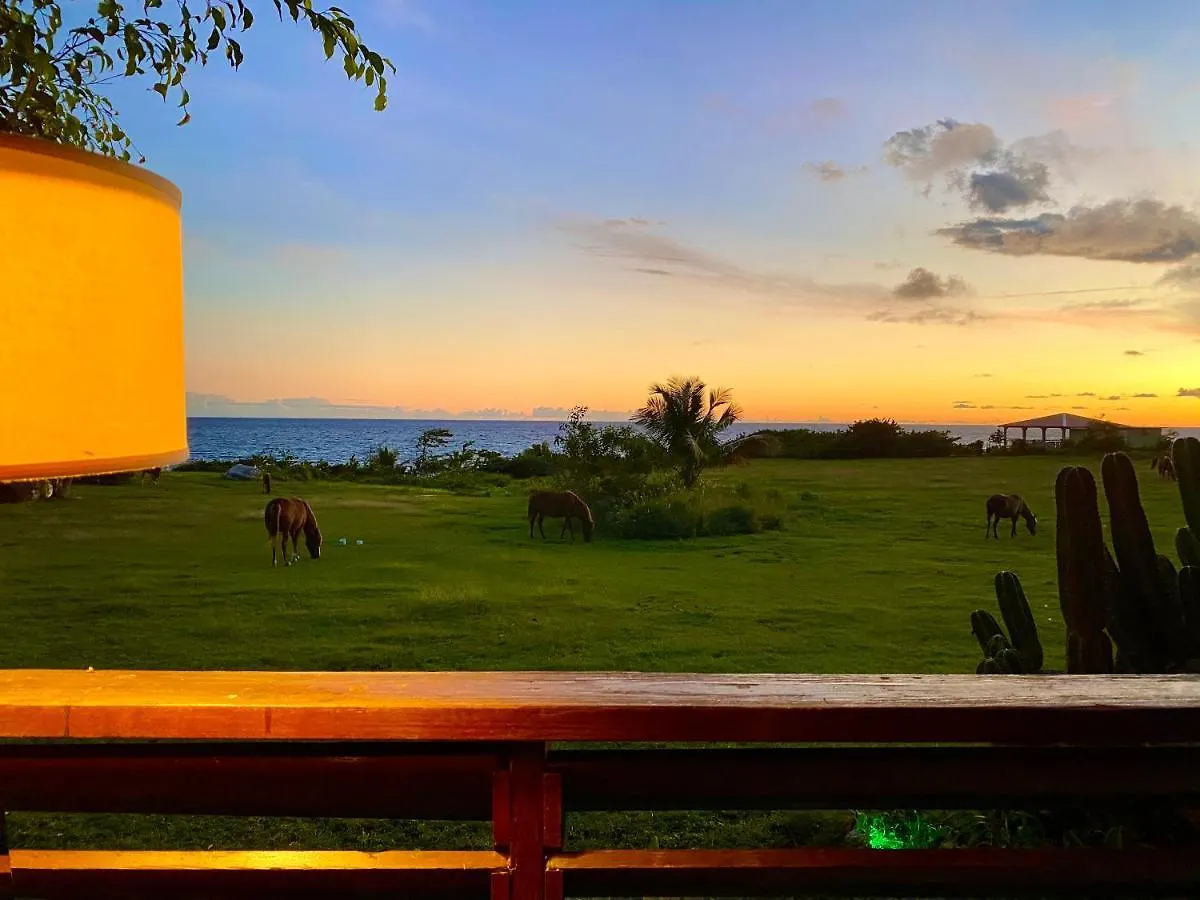 Blue Horizon Boutique Resort (Adults Only) Vieques Puerto Rico