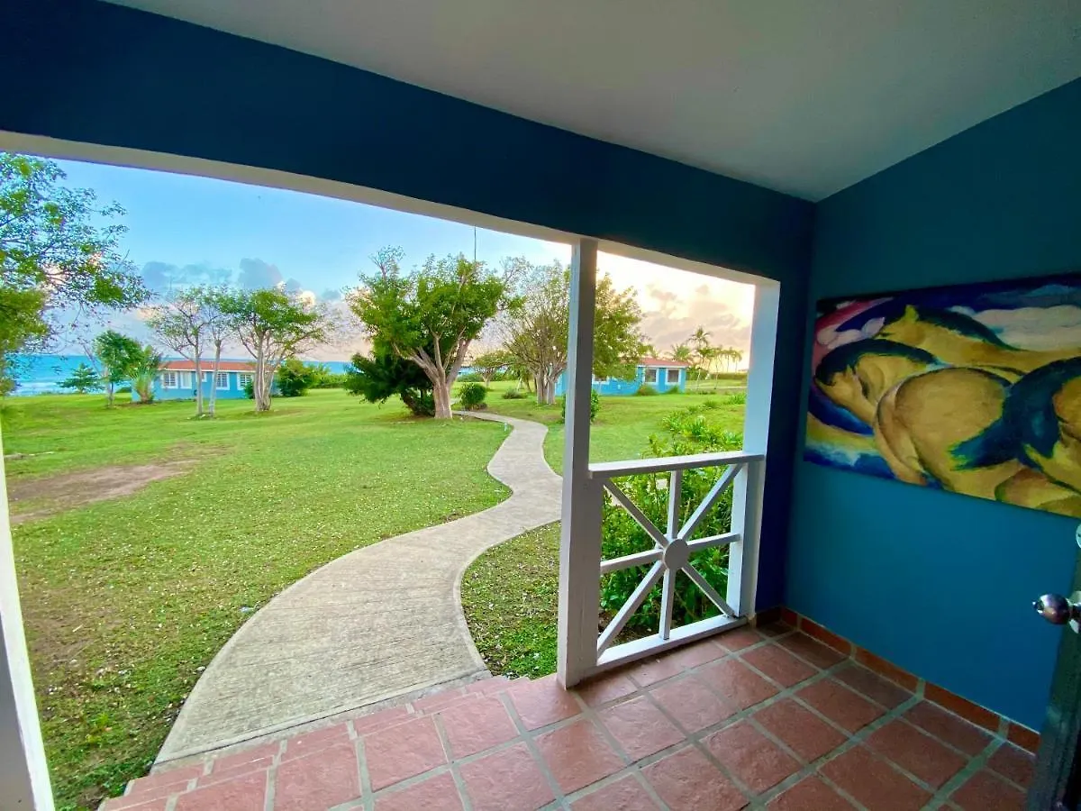 Blue Horizon Boutique Resort (Adults Only) Vieques Hotel